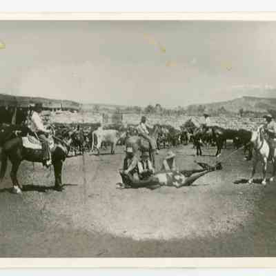 Print, Photographic