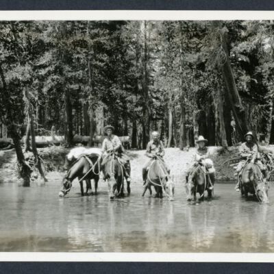 Print, Photographic