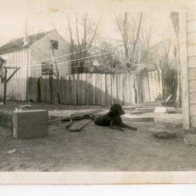 Print, Photographic