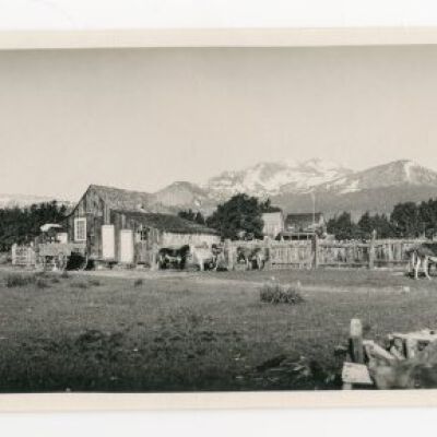 Print, Photographic