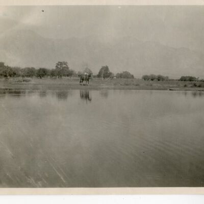 Print, Photographic