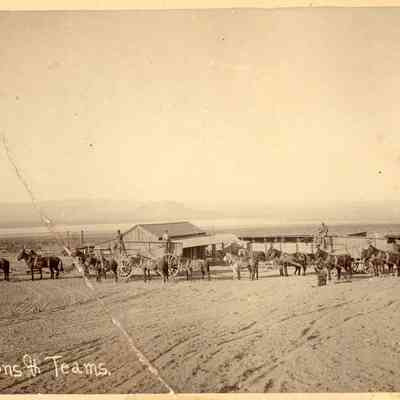 Ore Wagons and Teams
