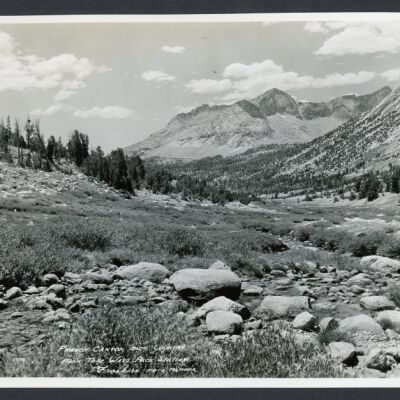 Print, Photographic