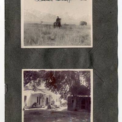 Print, Photographic