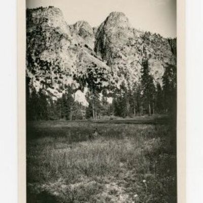 Print, Photographic