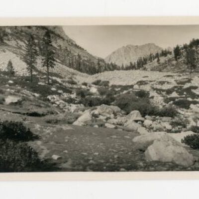 Print, Photographic