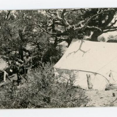 Print, Postcard