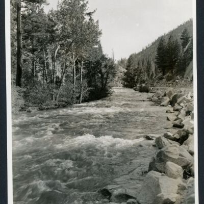 Print, Photographic