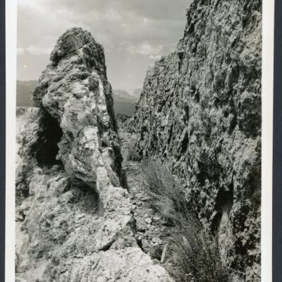 Print, Photographic