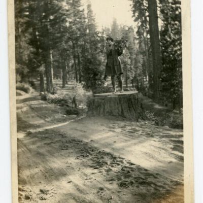 Print, Photographic