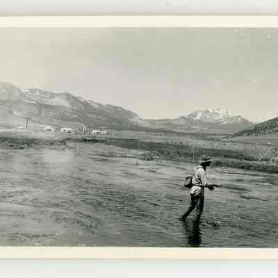 Print, Photographic
