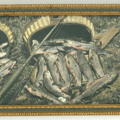 Eastern Brook Trout