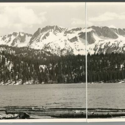 Print, Photographic
