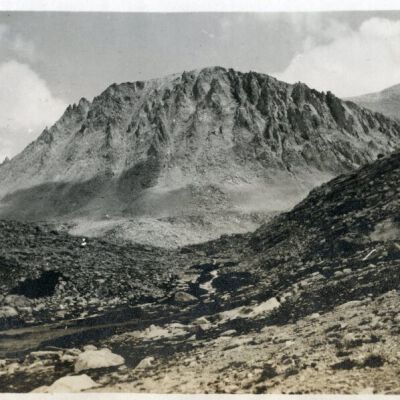 Print, Photographic