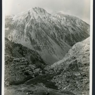 Print, Photographic