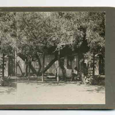 Stereograph