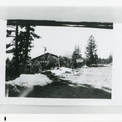 Print, Photographic