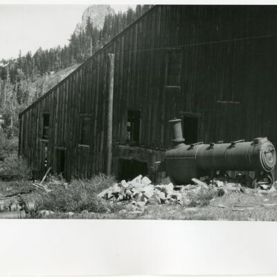 Print, Photographic