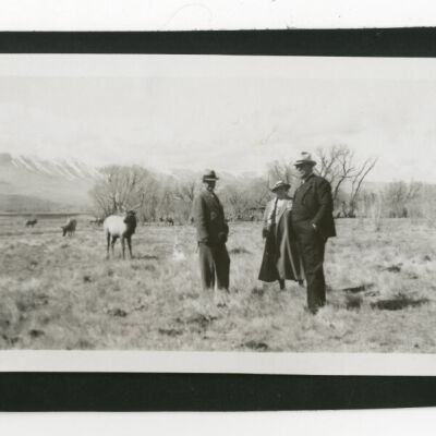 Print, Photographic