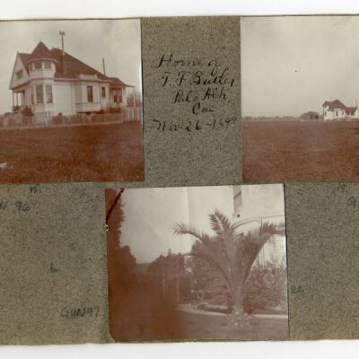 Print, Photographic