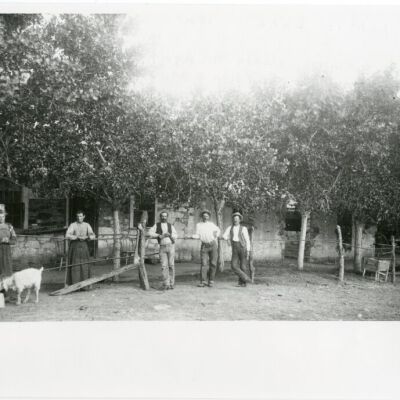 Print, Photographic
