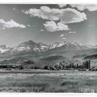 Print, Photographic
