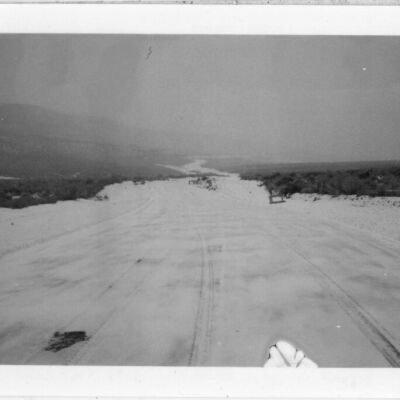 Print, Photographic