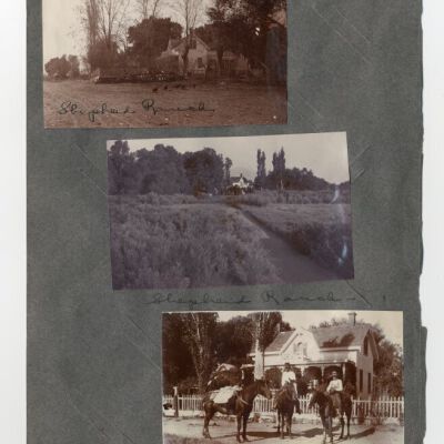 Print, Photographic