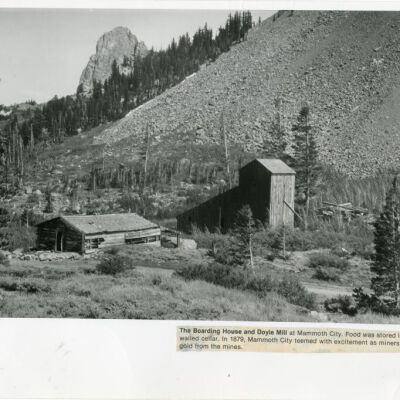 Print, Photographic
