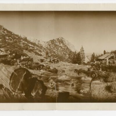 Print, Photographic