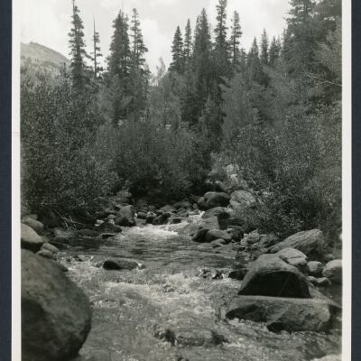 Print, Photographic