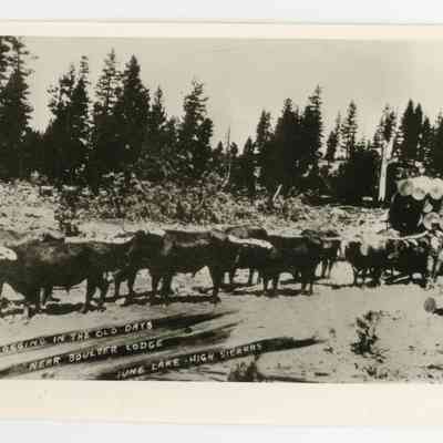 Logging in the Old Days Near Boulder Lodge, June Lake, HIgh Sierras