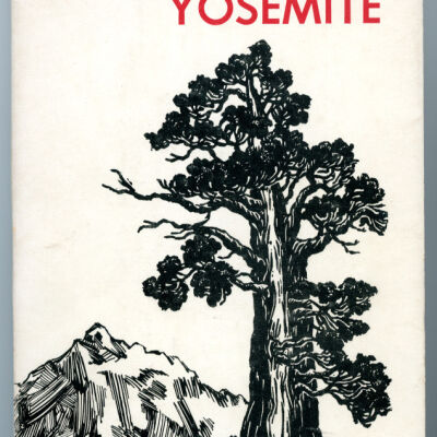 Trees of Yosemite