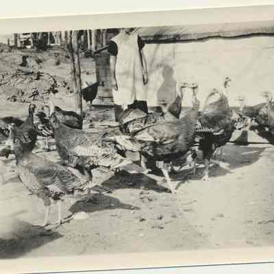 Print, Photographic