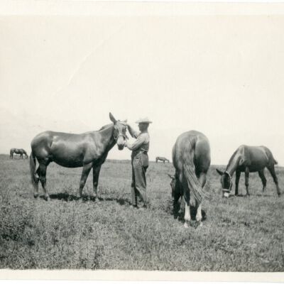 Print, Photographic