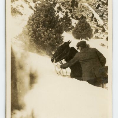 Print, Photographic