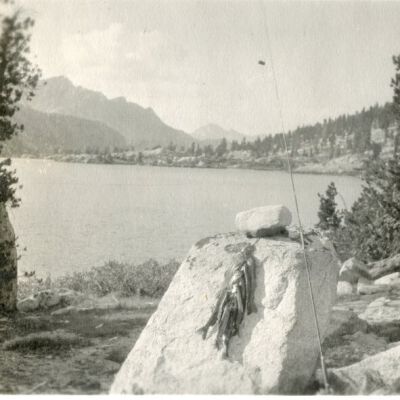 Print, Photographic