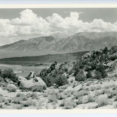 Print, Photographic