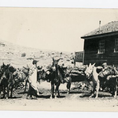 Postcard
