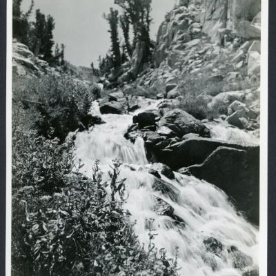 Print, Photographic