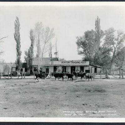 Print, Photographic