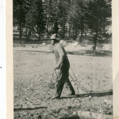 Print, Photographic