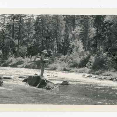 Print, Photographic