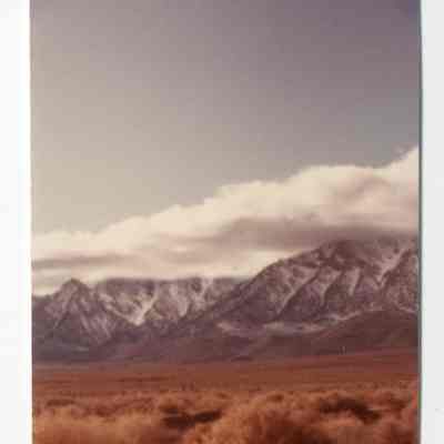 Print, Photographic