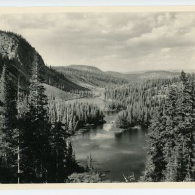 Print, Photographic