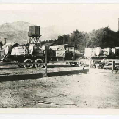Print, Photographic