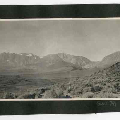 Print, Photographic