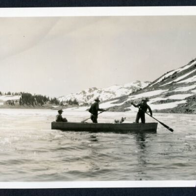 Print, Photographic