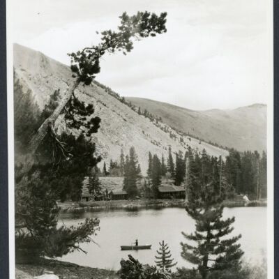 Print, Photographic