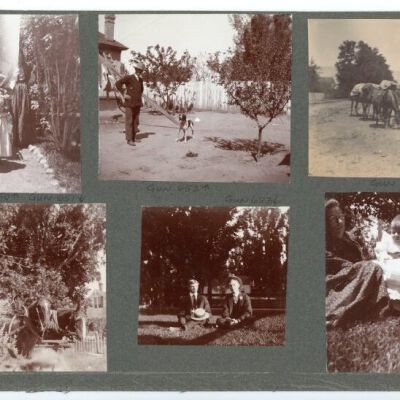 Print, Photographic